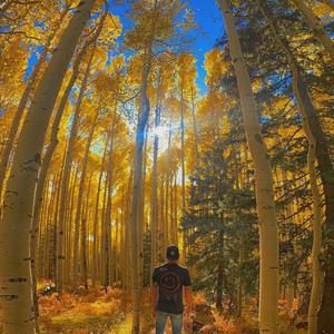 Meet your Posher, Kyle